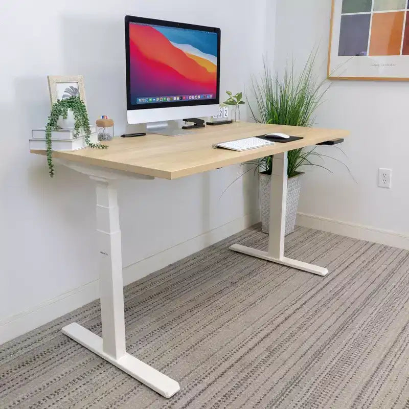 Dual Motor Electric Standing Desk with 55" Tabletop – Maple & White
