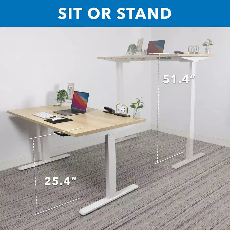 Dual Motor Electric Standing Desk with 55" Tabletop – Maple & White