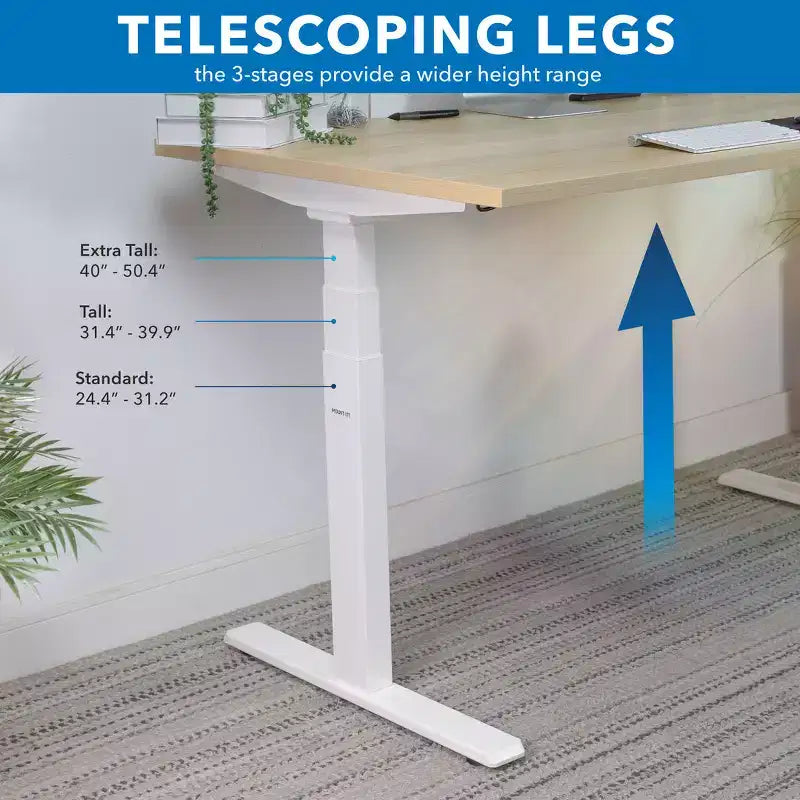 Dual Motor Electric Standing Desk with 55" Tabletop – Maple & White