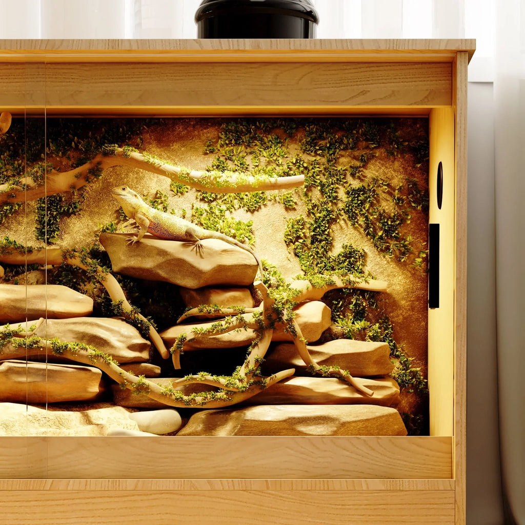 Reptilienhabitat – geräumiges Terrarium für Eidechsen, Schlangen und mehr – 47,2